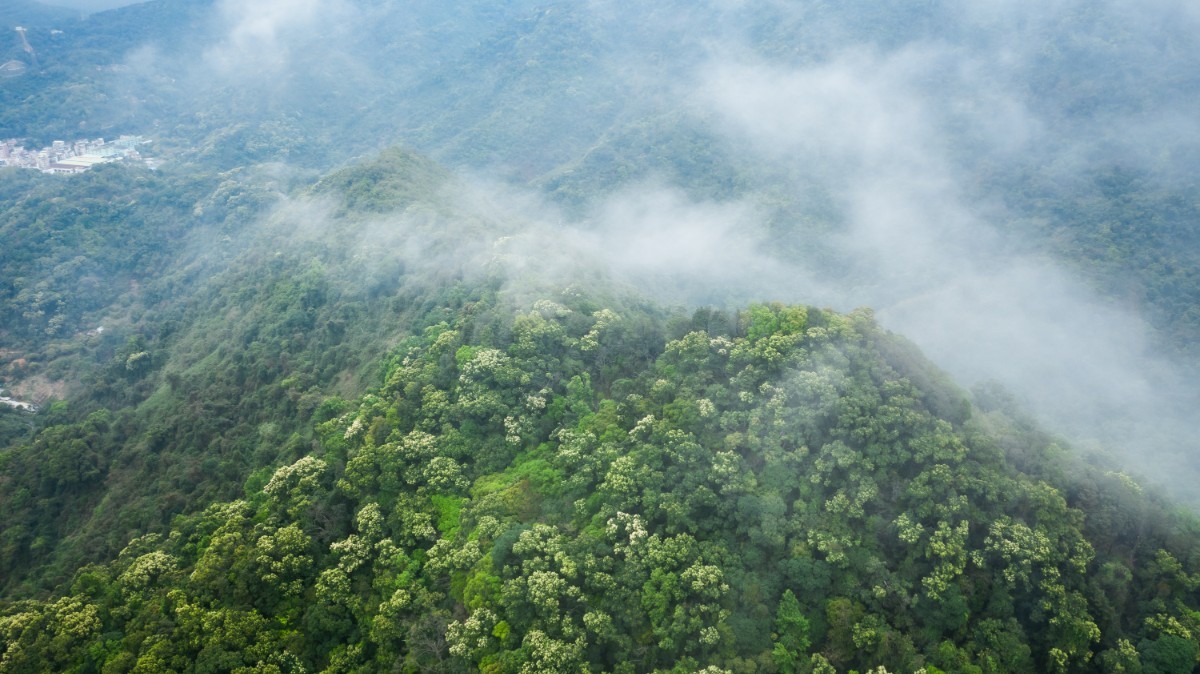 DJI_0966.jpg