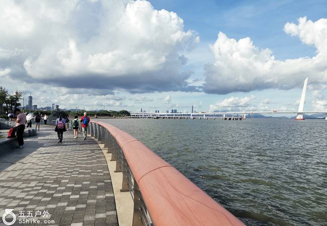 五五戶外【走遍深圳】白天到黑夜 深圳灣-紅樹林20KM徒步