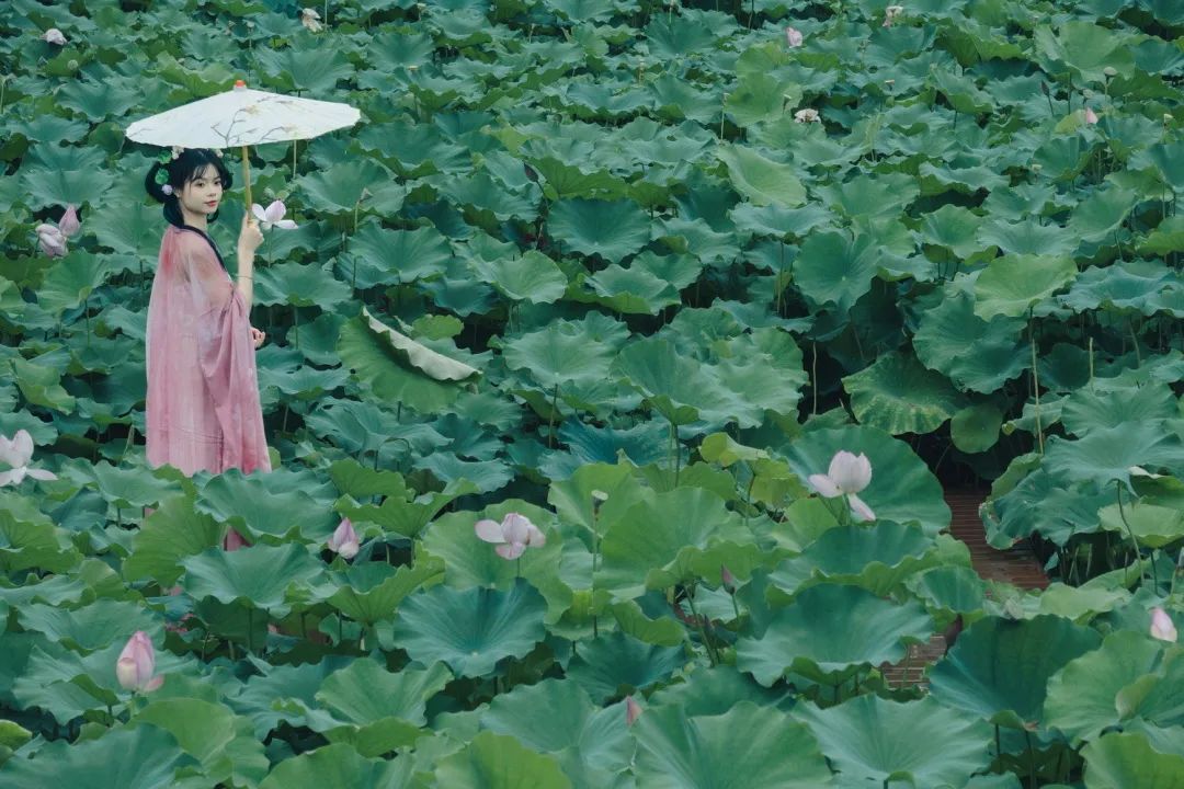 圖片