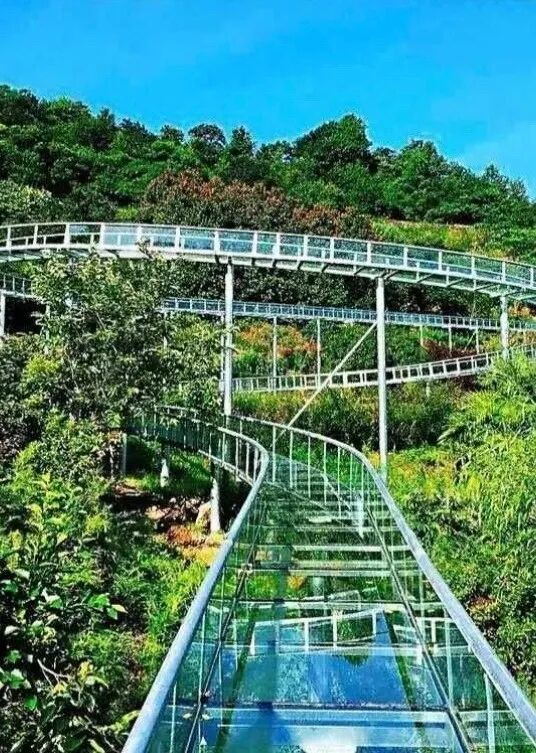 CLU_8770.jpg 图片