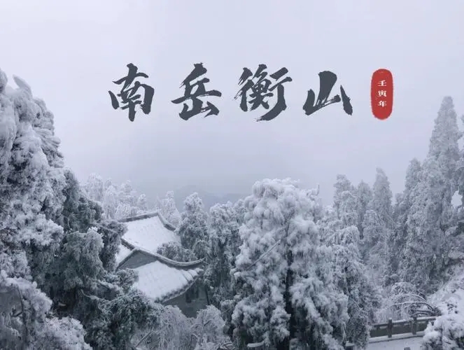 1702104073692035821.jpg u=486111739,1977306839&fm=253&fmt=auto&app=138&f=JPEG.webp.jpg