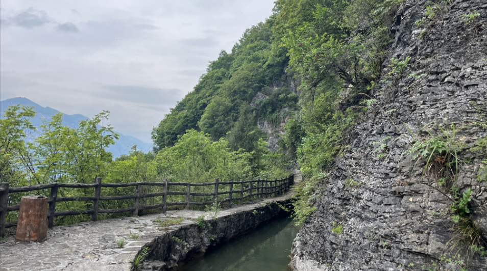 1716536131816095559.png image.png