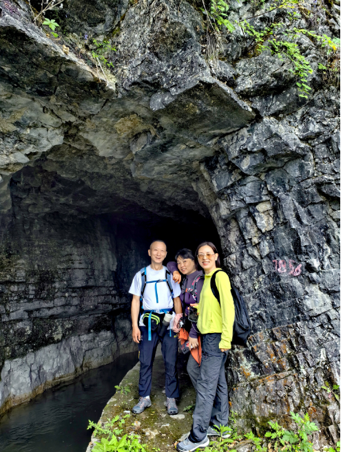 1716536544718009886.png image.png