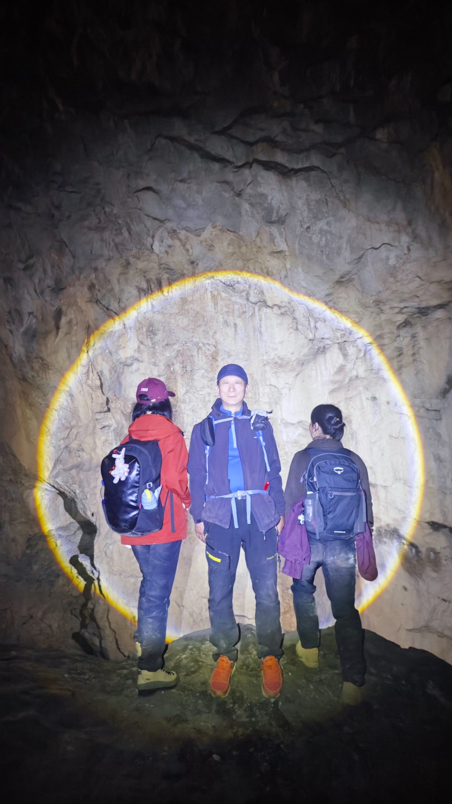 1737700287964012731.jpg 1737700287964012731.jpg