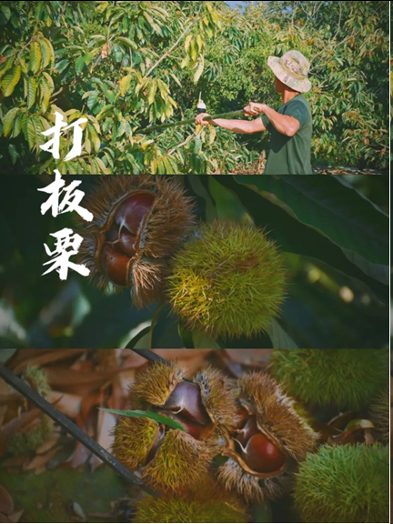 圖片.png