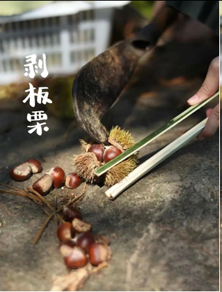 圖片.png