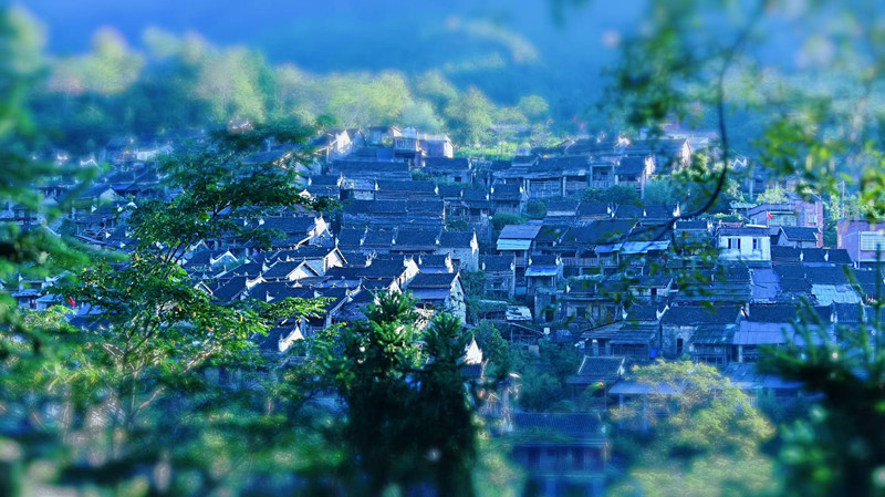 微信圖片_20251009173457_23_1665.jpg