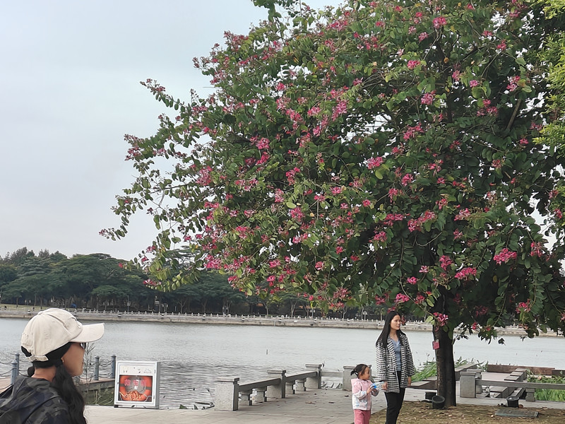 微信圖片_20251009190554_216_2.jpg