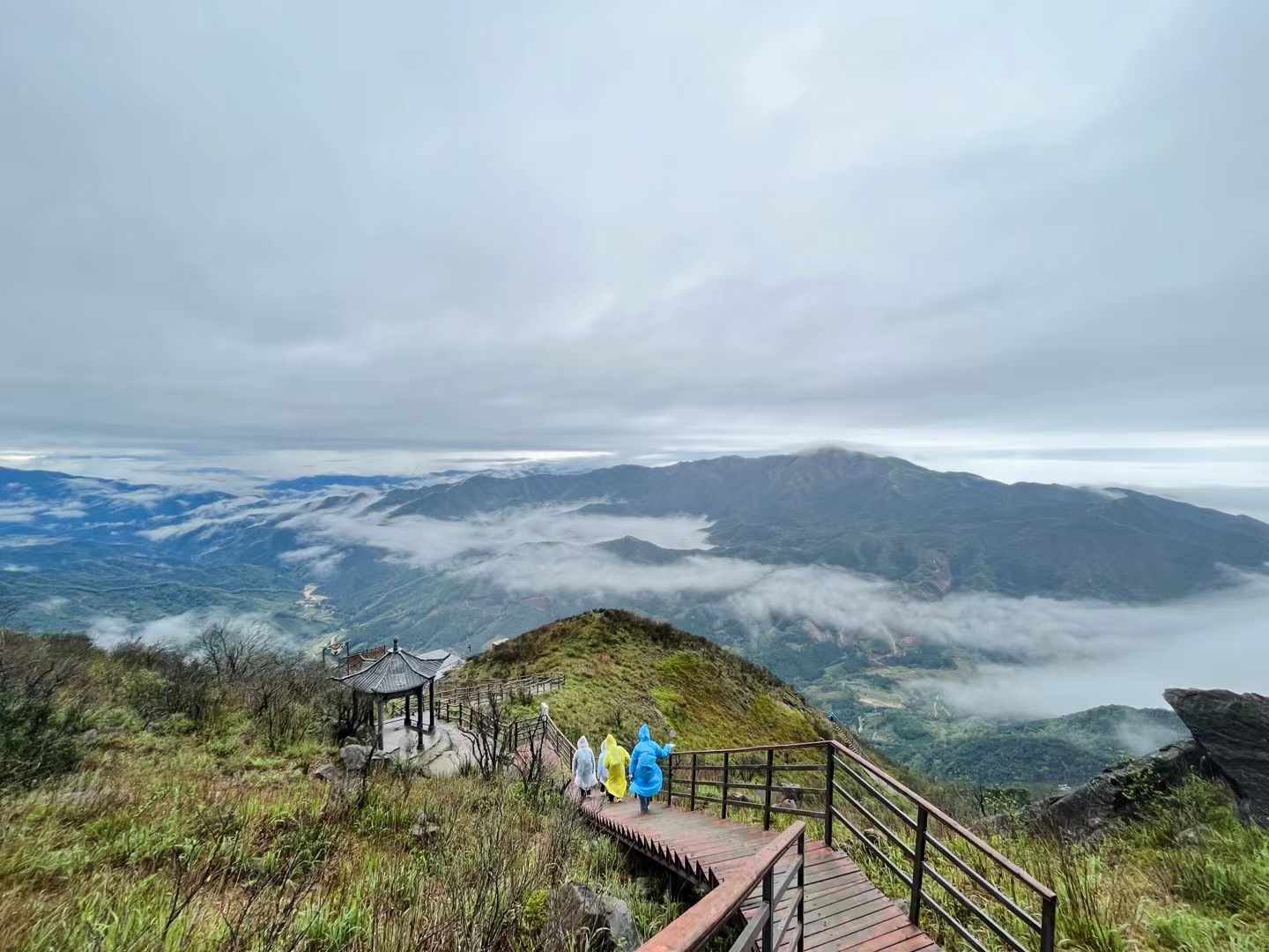 1761628101299072060.png image.png