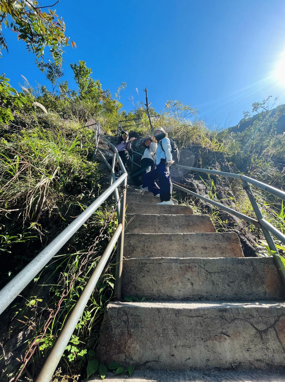 1761633382843025062.png image.png