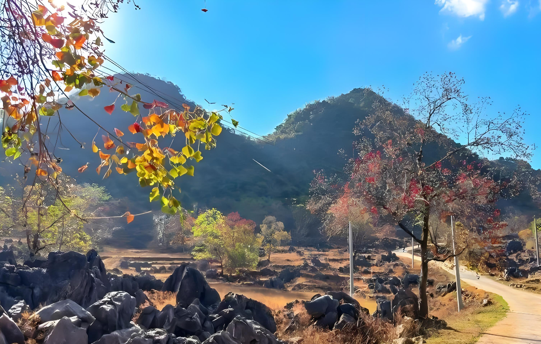 1767496314731042514.png 微信圖片_2026-01-04_110802_794.png