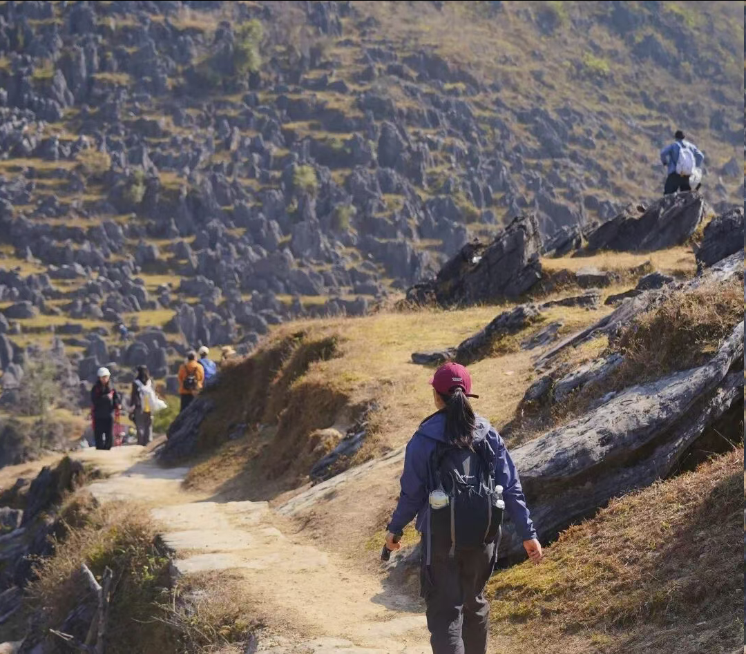 1767496445678096303.png 圖片.png