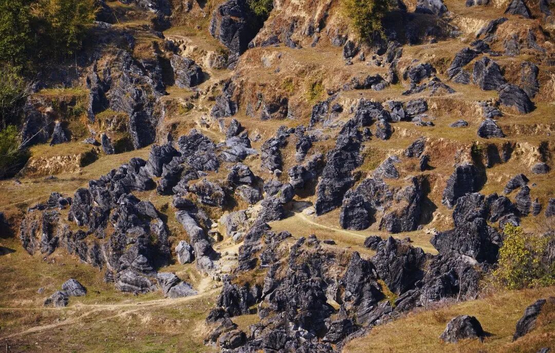 1767499967795036162.jpg 640 (2).jpg