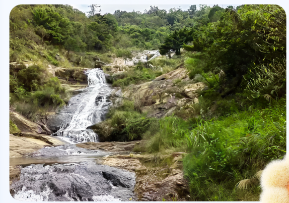 1768055196445023436.png 微信圖片_20260110222449_3_2.png