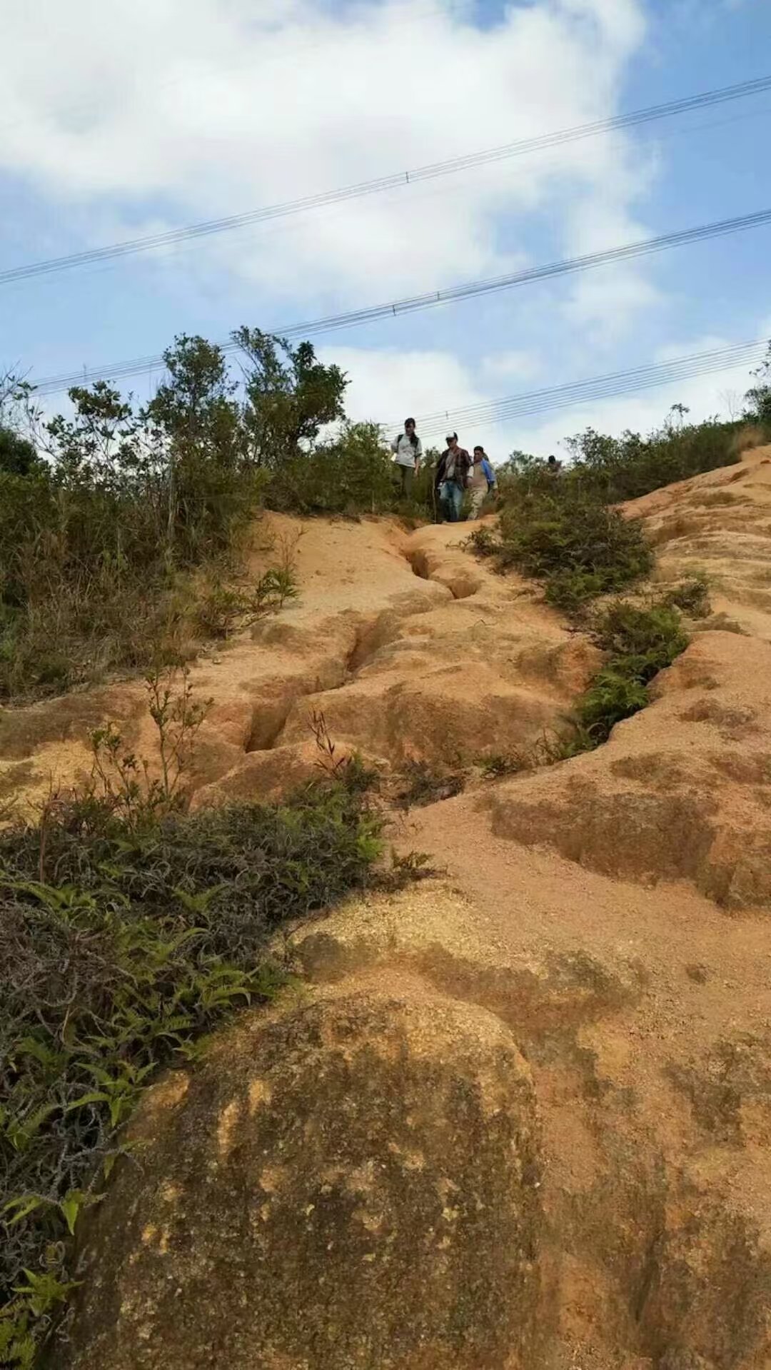 1768357215192099016.jpg 3c225973b5c300d46c9cd36194d46797.jpg