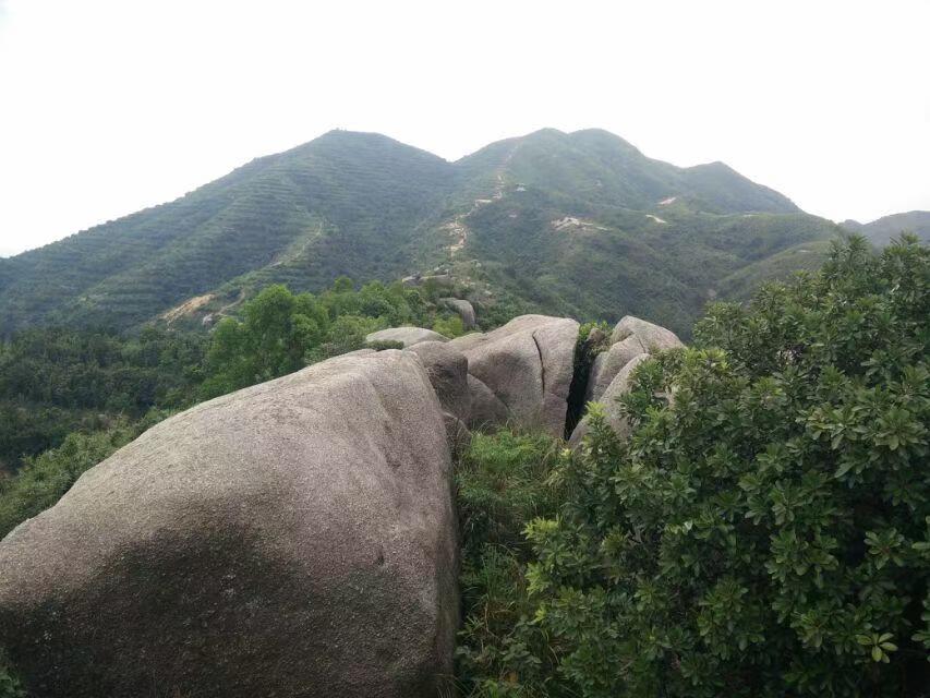 1768357297724019132.jpg 49344fc9e81d8ac131ad4282b8676fc6.jpg