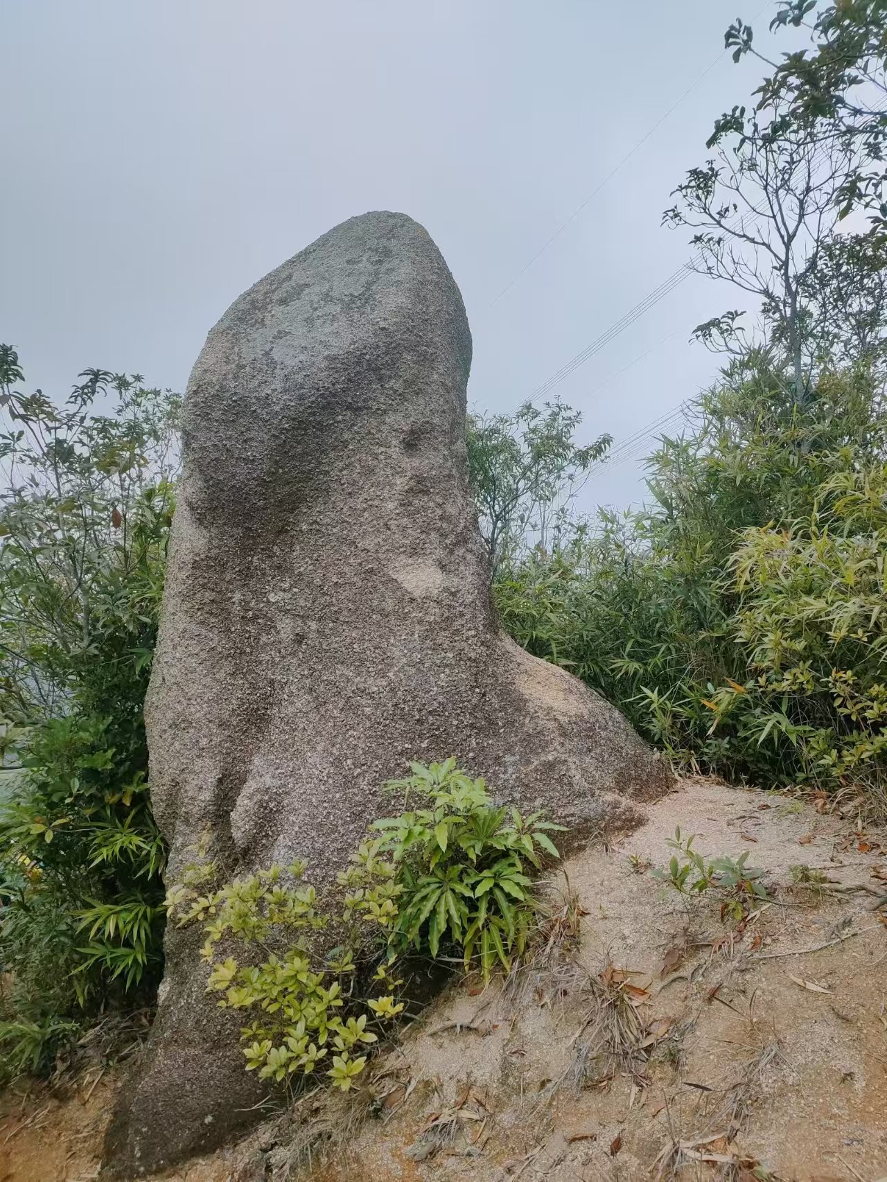 1768357405807001162.jpg 76b3997d6ebdc8690f92c63d2094fbd2.jpg