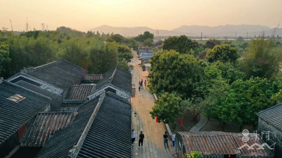 1770733191599082269.jpg 767393e7ae3b1a189c794e845a74d8e2.jpg