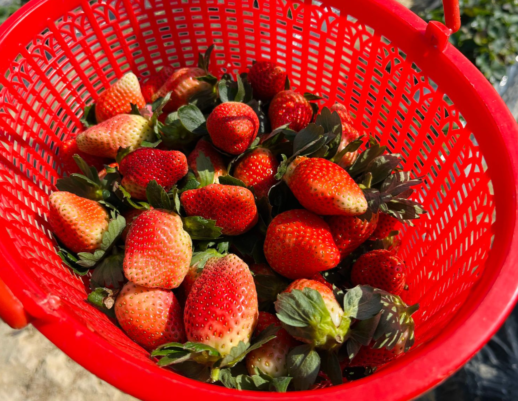 1770734728357090507.png aba70bc6-83ab-4bc6-98ac-ce7cd7c0a715.png