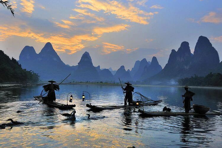1774858755100008566.jpg 漓江鸬鹚1.jpg